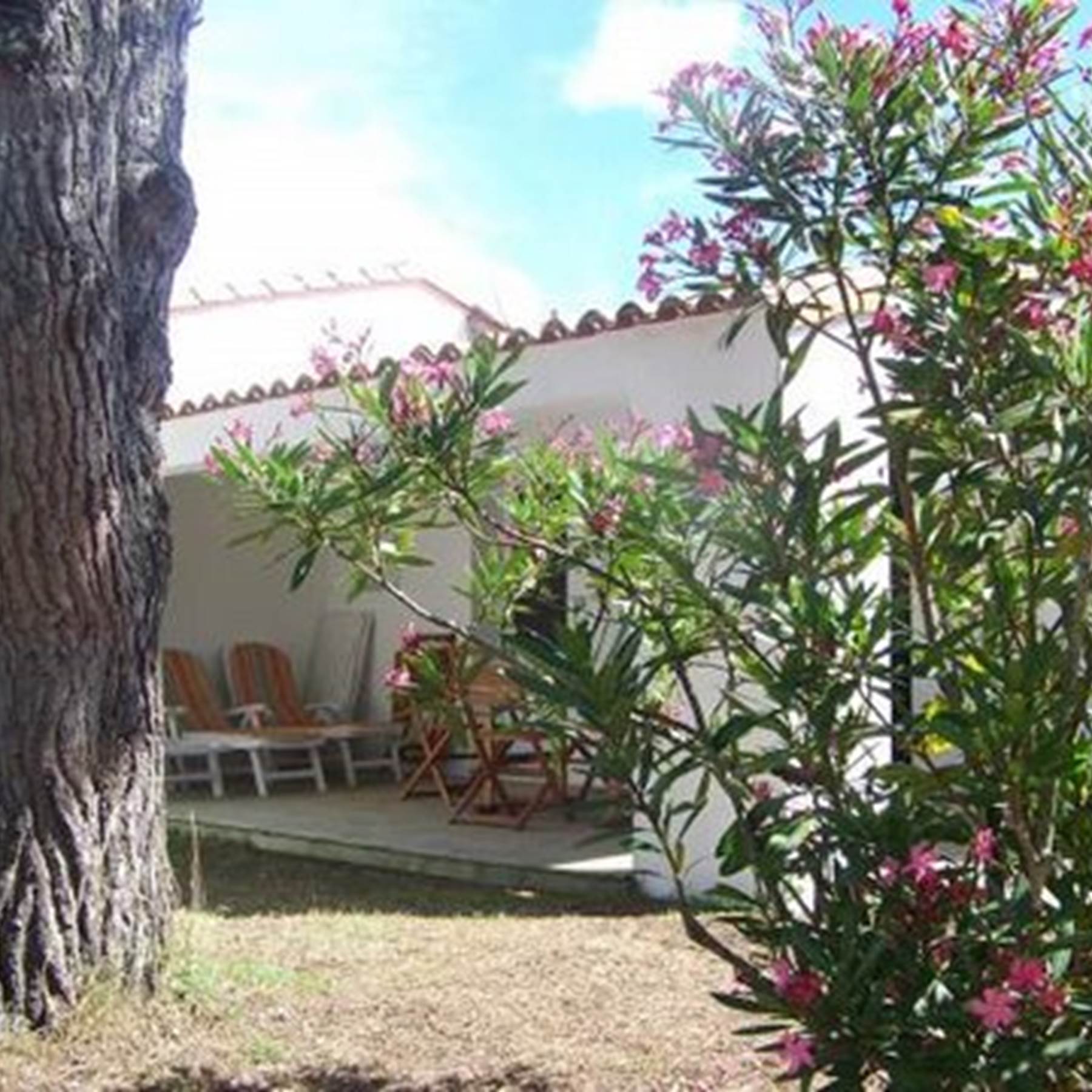 la terrasse couverte donnant sur le salon salle à manger-galerie